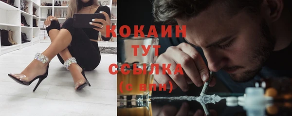 мяу мяу мука Белокуриха