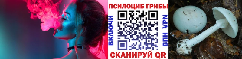 где найти   Рыбинск  Галлюциногенные грибы ЛСД 